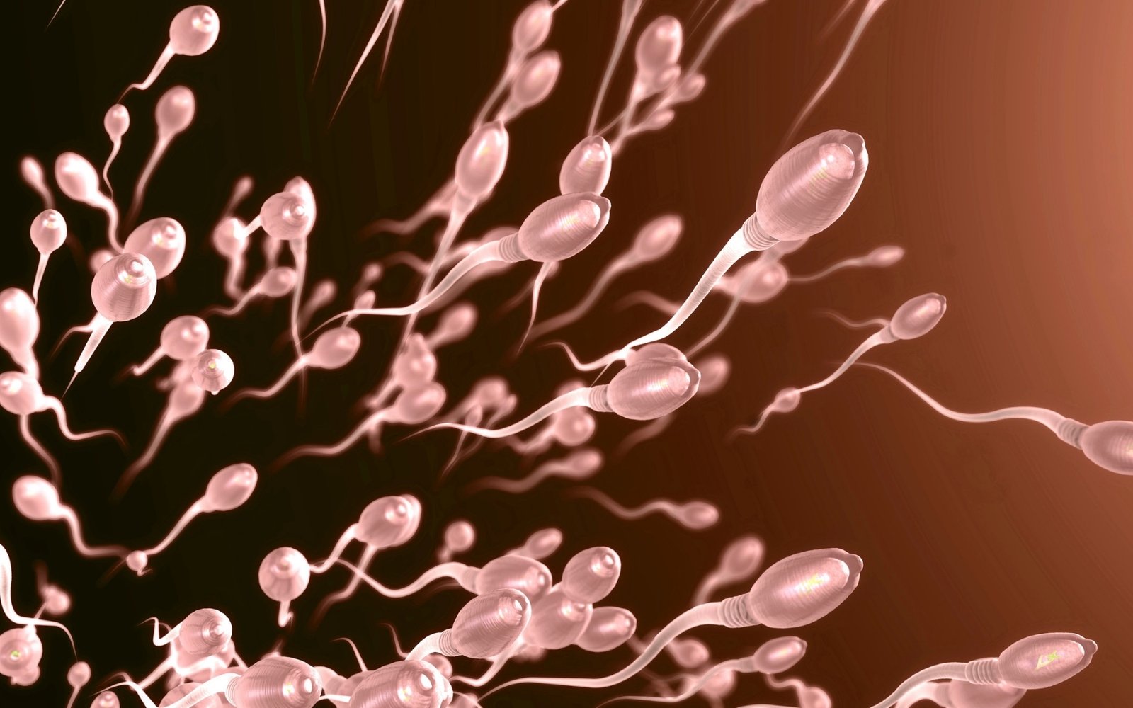 vertomen Penyebab Jumlah Sperma Sedikit