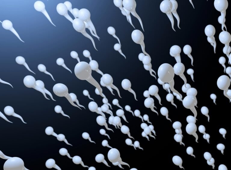 vertomen sperma kuat