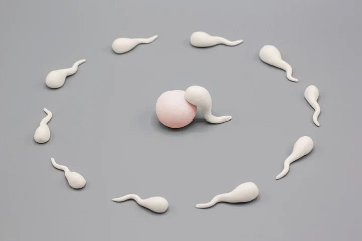 vertomen sperma sedikit