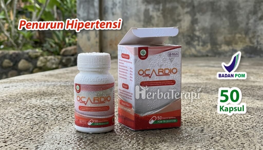ocardio Apa Fungsi Pemeriksaan EKG Pada Pasien Darah Tinggi