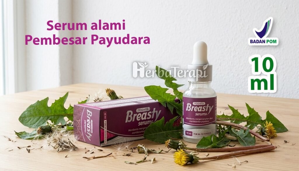 Apa yang Menentukan Ukuran Volume Payudara Wanita breasty