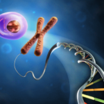 Apakah Faktor Genetik Merupakan Penentu Utama Bentuk Payudara