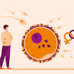 Apakah Frekuensi Ejakulasi Memengaruhi Peluang Hamil