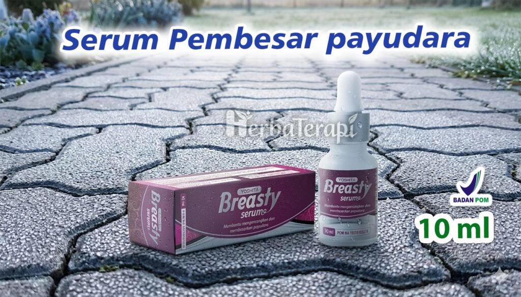 breasty Apakah Otot Dada di Payudara Bisa Dibentuk