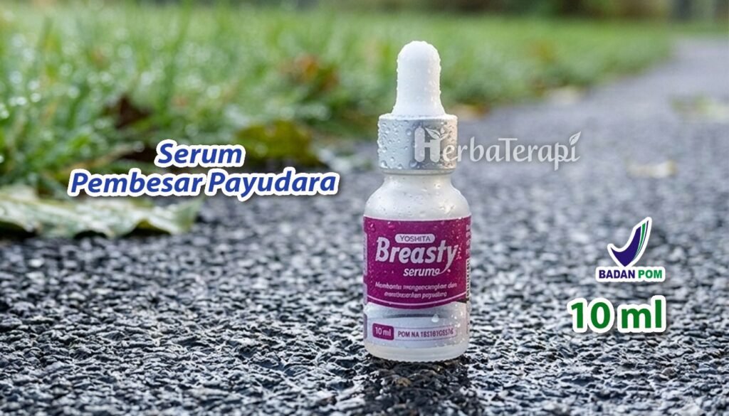 breasty Apakah Ukuran Payudara Berkaitan dengan Daya Tarik Seksual