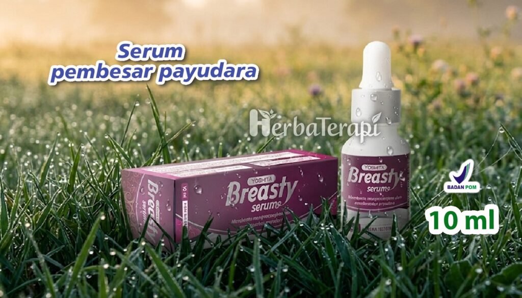 breasty Bagaimana Bentuk Struktur dalam Payudara Sebenarnya