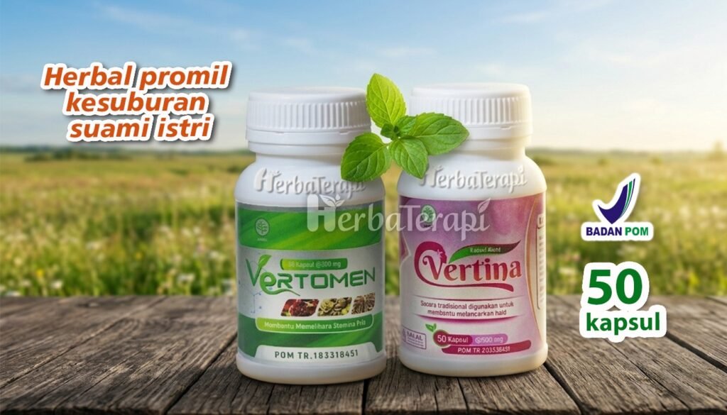 Bagaimana Cara Mengatur Pola Makan Sehat untuk Meningkatkan Kesuburan vertina vertomen