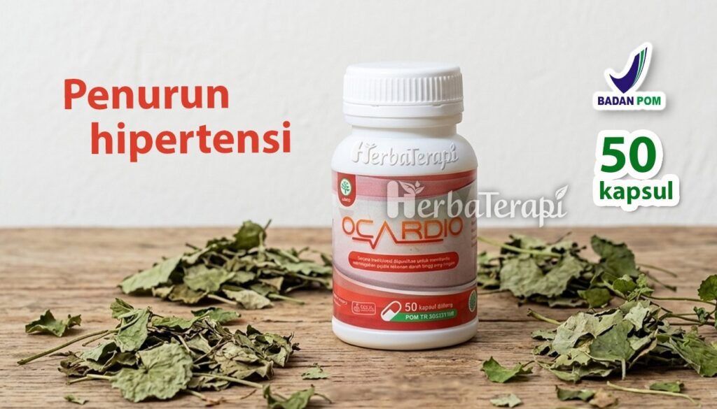 Cara Melakukan Latihan Peregangan Ringan untuk Mencegah Kekakuan Arteri ocardio