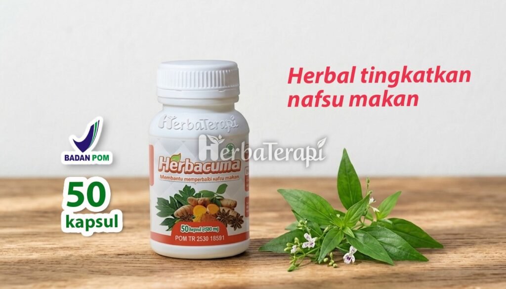 herbacuma Cara Mengatur Pola Makan Agar Nafsu Makan Meningkat Secara Bertahap