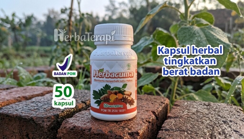 herbacuma Dampak Camilan Asin Terhadap Peningkatan Nafsu Makan