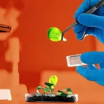 Efek Jangka Panjang Konsumsi Zat Kimia terhadap Beban Kerja Hati