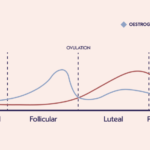 Gangguan Siklus Menstruasi Akibat Toksin yang Tidak Tersaring oleh Hati