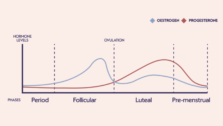 Gangguan Siklus Menstruasi Akibat Toksin yang Tidak Tersaring oleh Hati