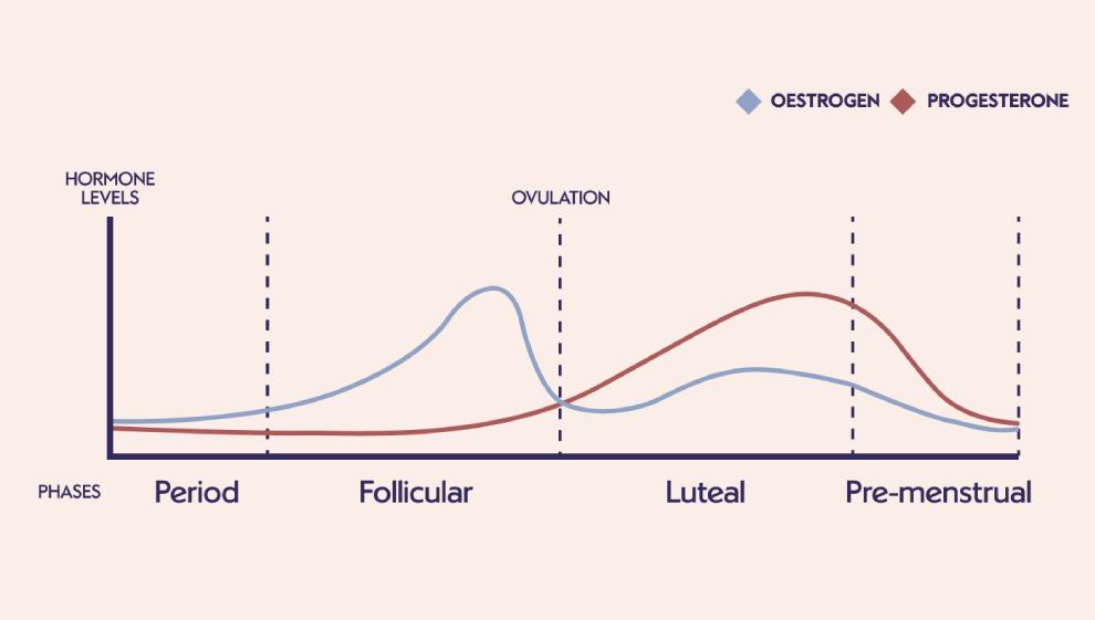 Gangguan Siklus Menstruasi Akibat Toksin yang Tidak Tersaring oleh Hati