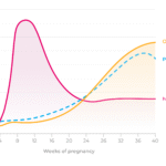 Hormon kehamilan lebih mudah seimbang saat pikiran Anda benar-benar rileks