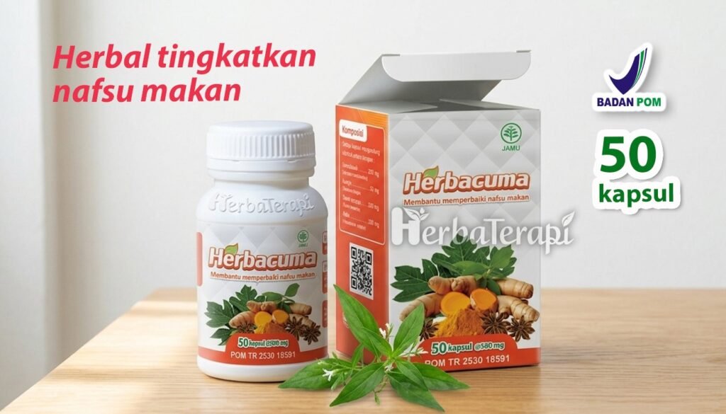 herbacuma Hubungan Antara Kesehatan Pencernaan dan Berat Badan yang Tak Kunjung Naik