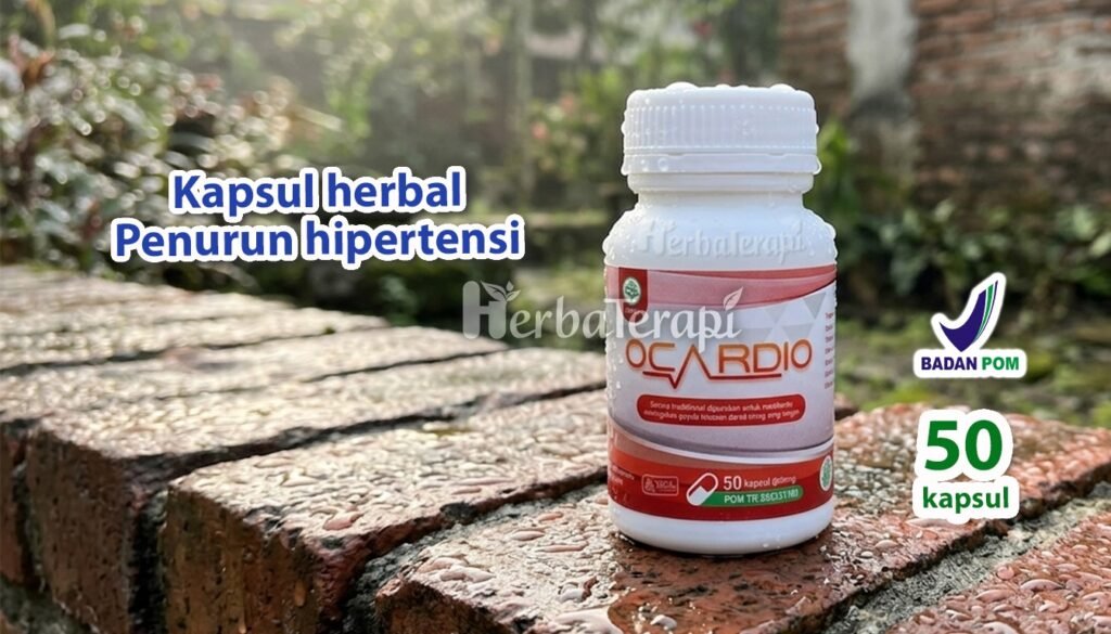 ocardio Hubungan Tersembunyi Bagaimana Darah Tinggi Memicu Peradangan di Tubuh