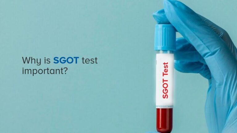 Indikasi Apa yang Ditunjukkan Jika Hasil Lab Menunjukkan SGOT Tinggi