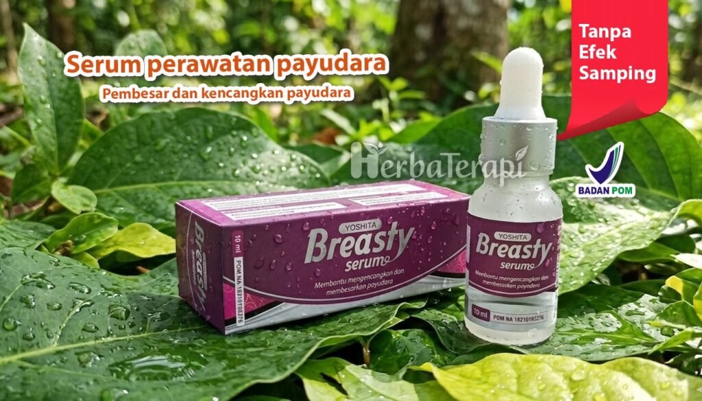 breasty Jenis Payudara Seperti Apa yang Disukai Pria
