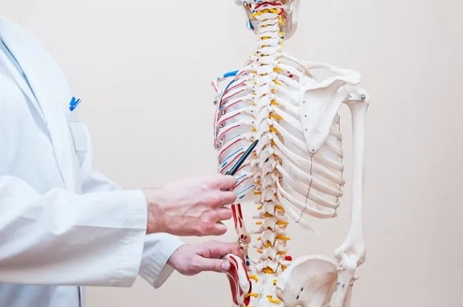 Kepadatan Tulang Menurun Drastis Jika Asupan Kalsium Lewat Makanan Terhenti