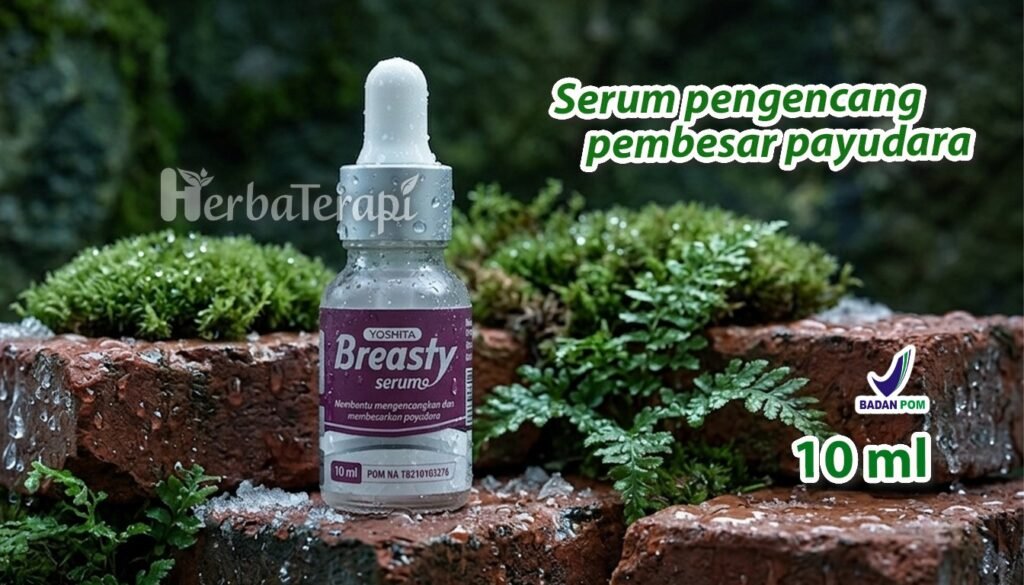 breasty Keunggulan Payudara Besar dalam Membangun Daya Tarik Visual