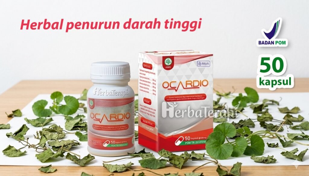 Manfaat Senam Tera dalam Melancarkan Aliran Darah di Usia Senja