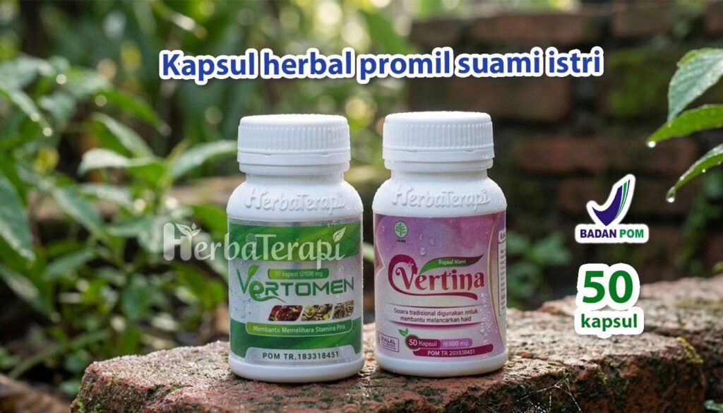 Masturbasi sebagai Metode Pengelolaan Stres Program Hamil vertina vertomen