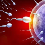 Mengapa Onani Sebelum Masa Subur Bisa Meningkatkan Kualitas Sperma