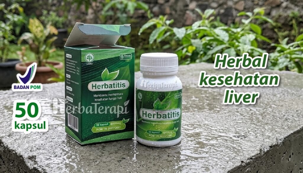 herbatitis Mengonsumsi Daging Mentah Risiko Kontraindikasi bagi Hati