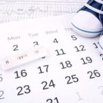 Pahami Siklus Ovulasi untuk Meningkatkan Peluang Kehamilan