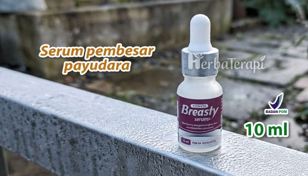  Pembesar Payudara Alami Daftar makanan bergizi yang membantu menyeimbangkan hormon kewanitaan breasty