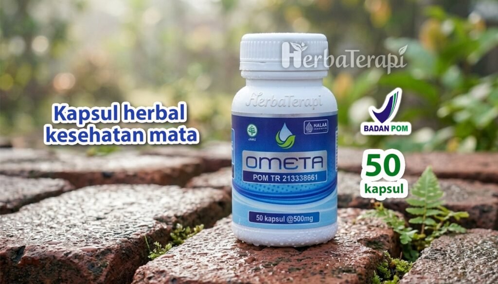 Pentingnya Kontrol Mata Rutin untuk Pengguna Kacamata ometa