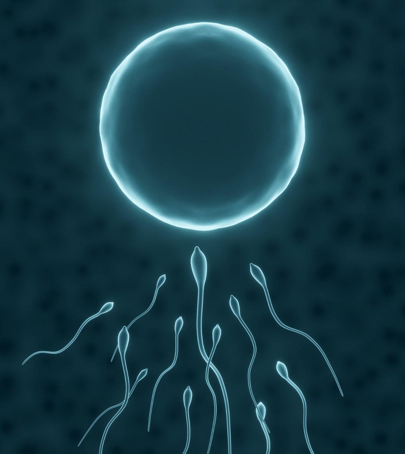 Penyebab ejakulasi dini