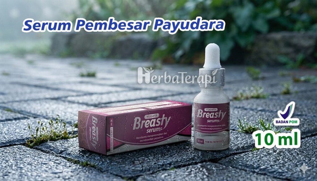 breasty Rahasia Payudara Kencang Tanpa Operasi Fokus pada Latihan Otot Dada