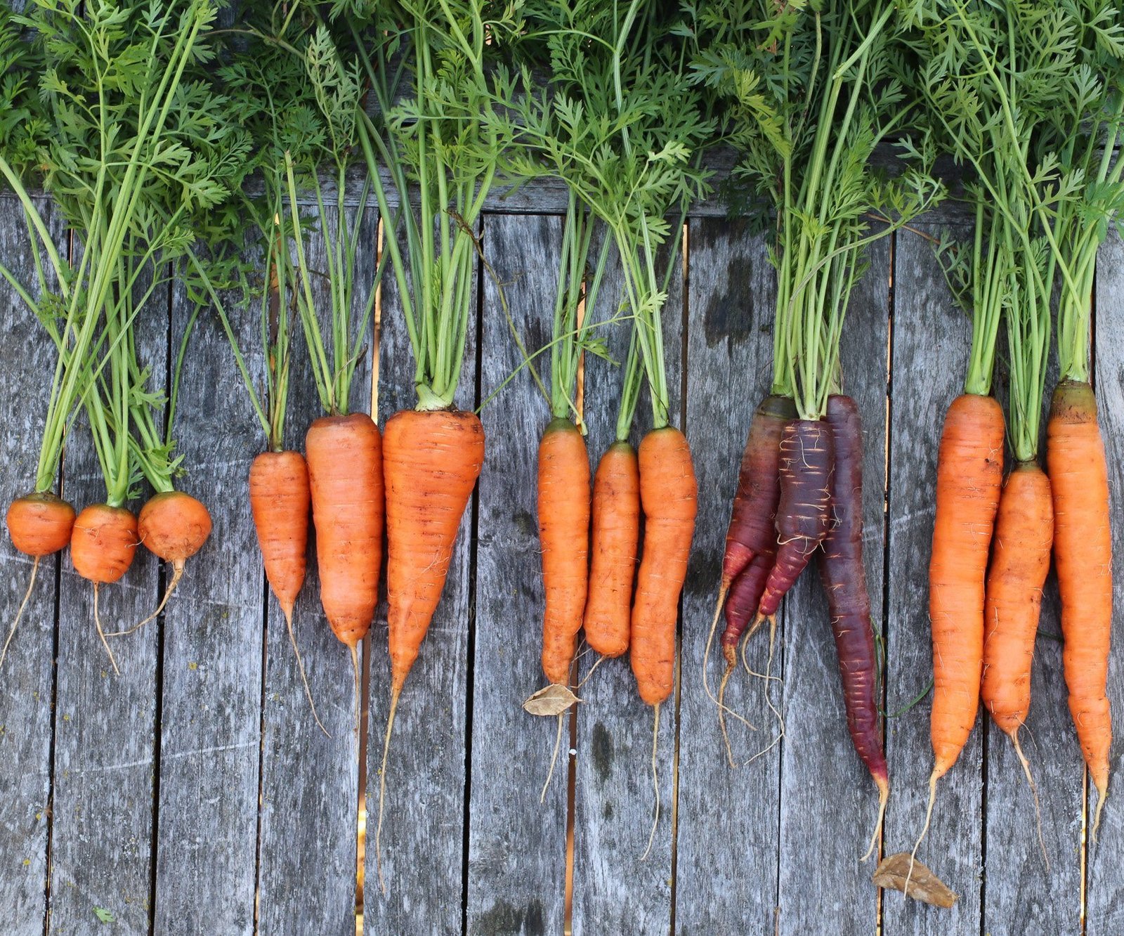 Tips Mencegah Penurunan Penglihatan dengan Rutin Herbal Ometa