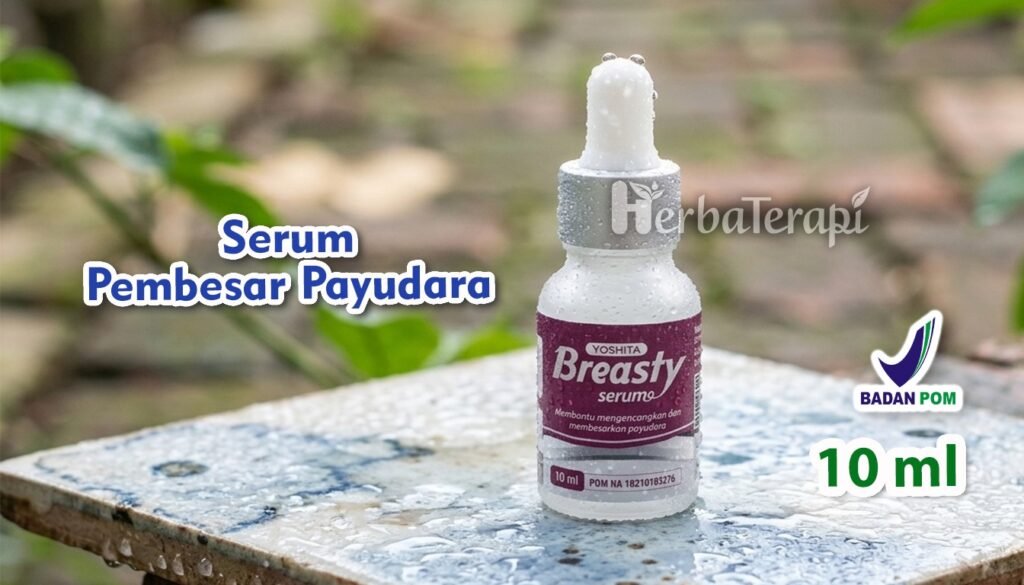 breasty Trik Memilih Pakaian agar Payudara Terlihat Lebih Berisi