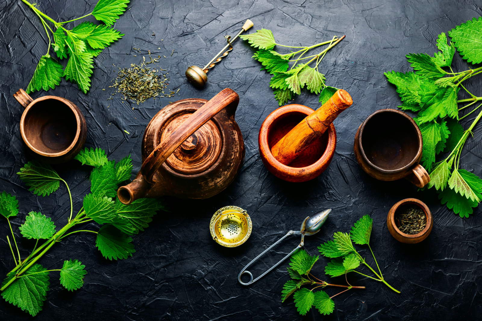 Vertina Suplemen Peningkat Kualitas Sel Telur untuk Promil