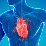 fortamen gairah seksual pria