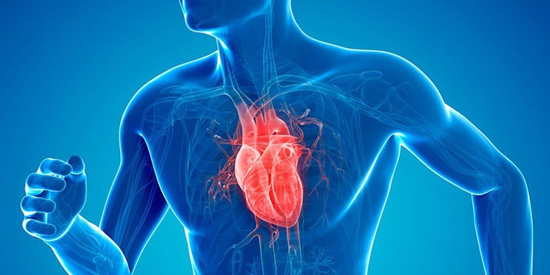 fortamen gairah seksual pria