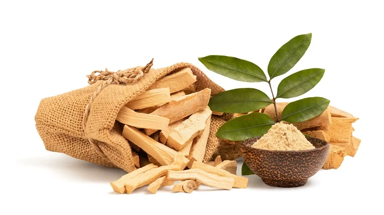 fortamen manfaat pasak bumi