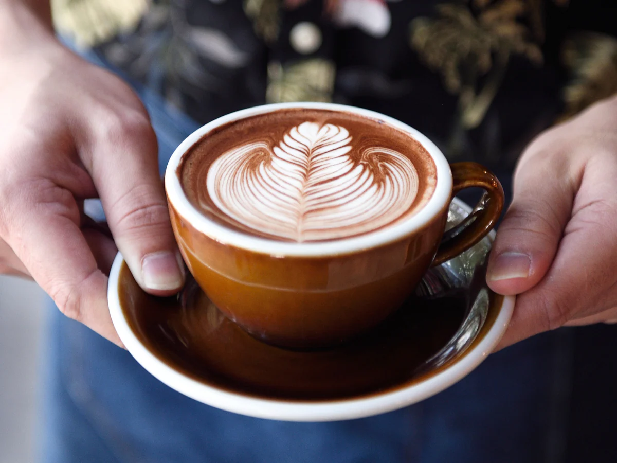 fortamen kopi stamina