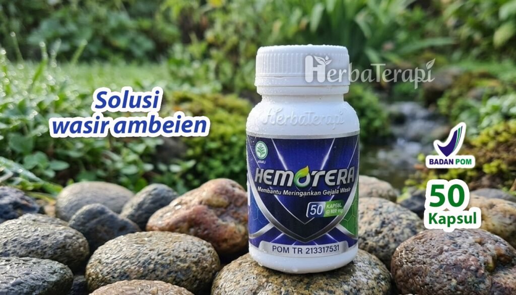 hemotera ambeien kronis selama kehamilan