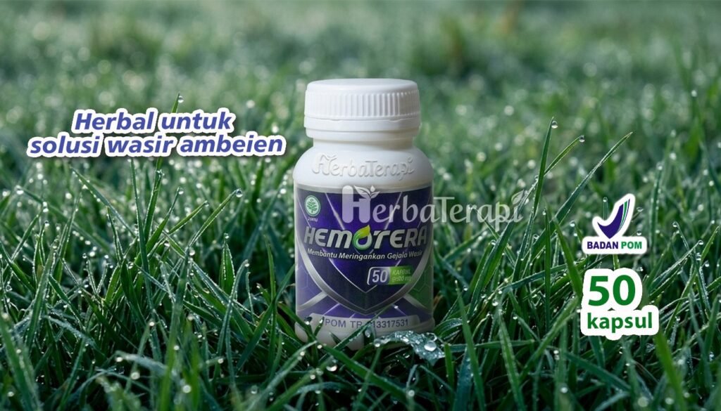 hemotera trombosis wasir luar