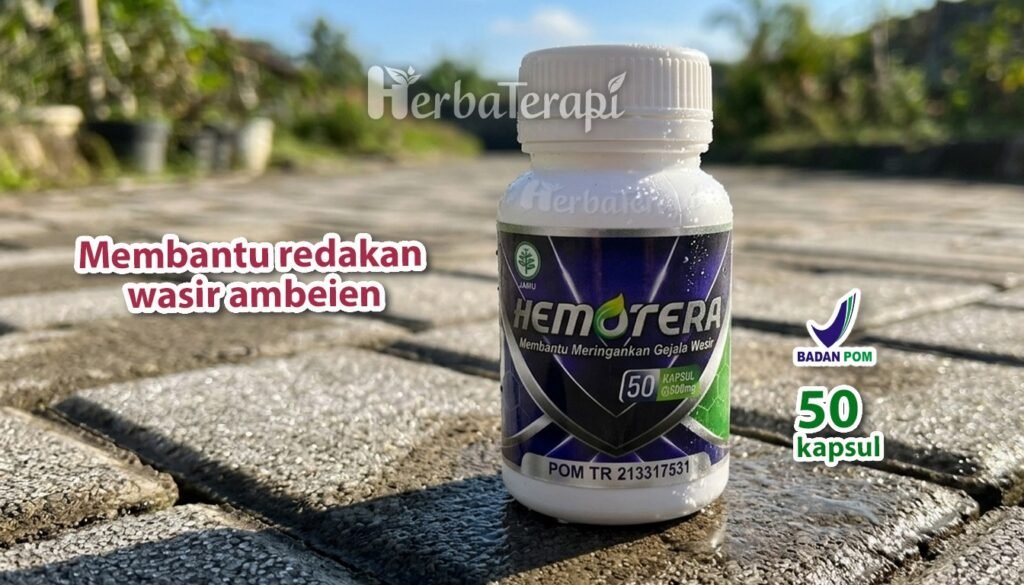 hemotera bahaya wasir stadium 4