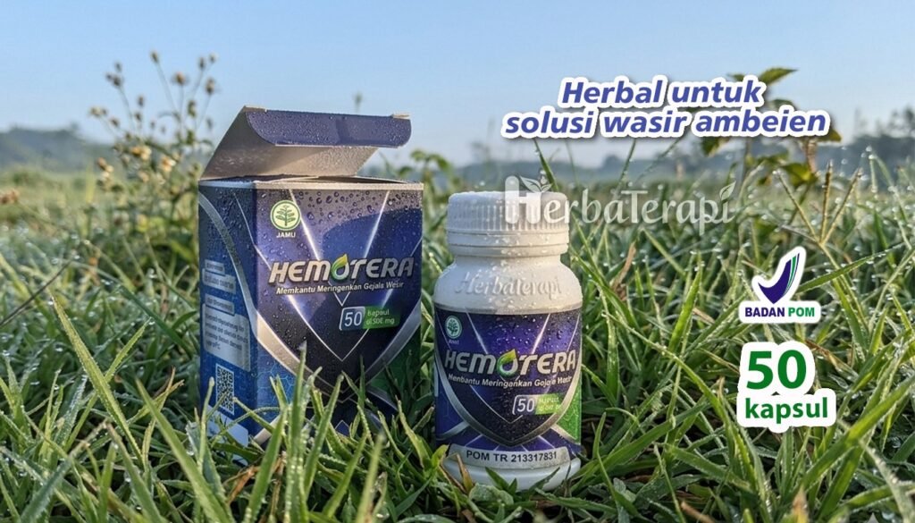 hemotera kanker rektum