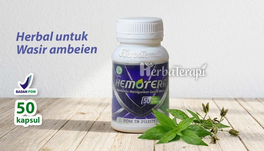 hemotera pakaian dalam katun