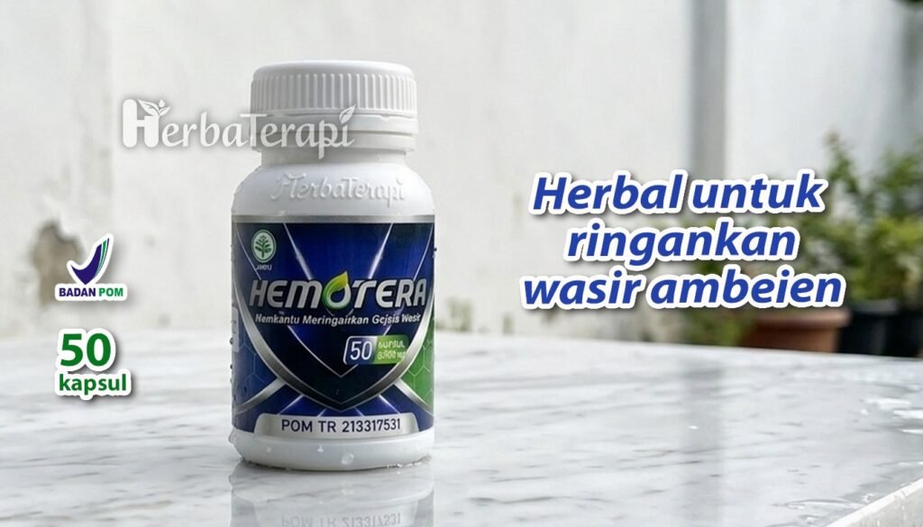 hemotera ciri ambeien stadium awal