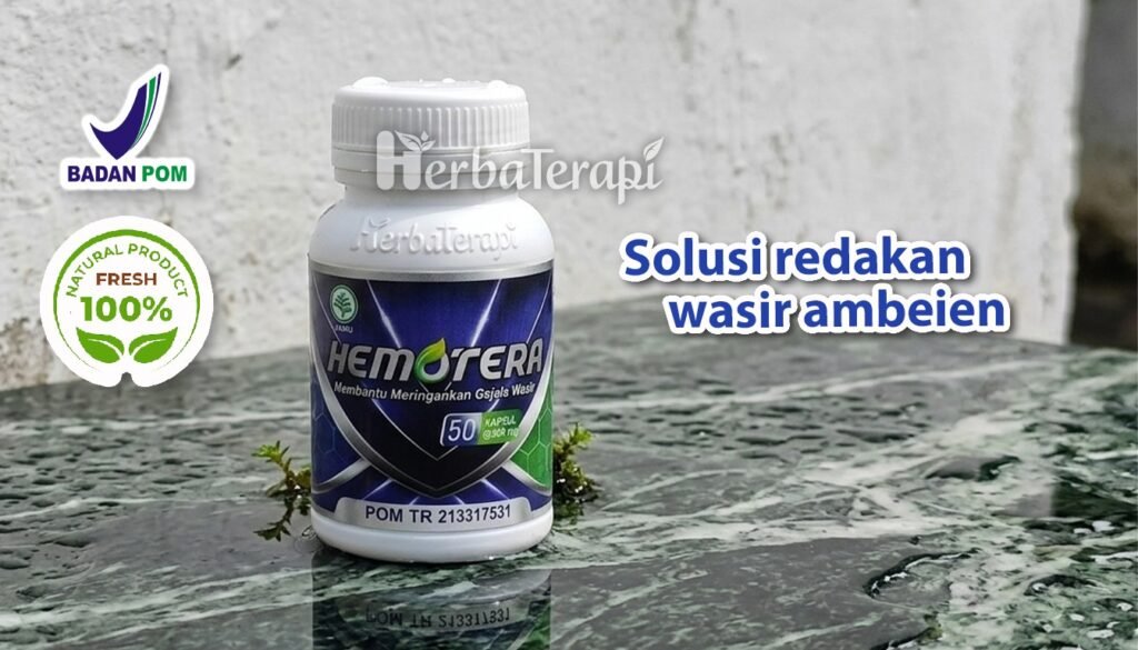 hemotera ciri fisik ambeien