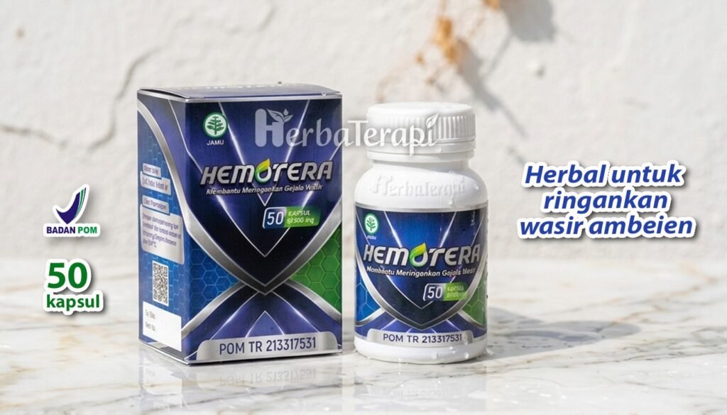 hemotera gejala wasir paling umum