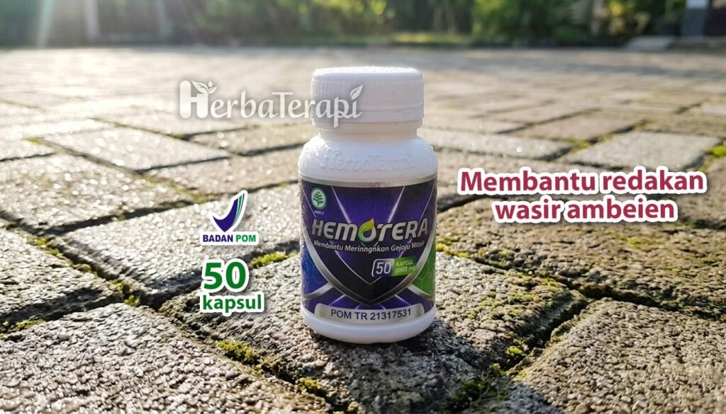 hemotera wasir stadium 3